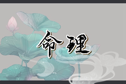 八字金木水火土|八字算吉日查询|八字算盘|基本排盘查询